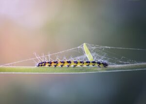 Was macht in der Psycholigie der Veränderung einen Unterschied