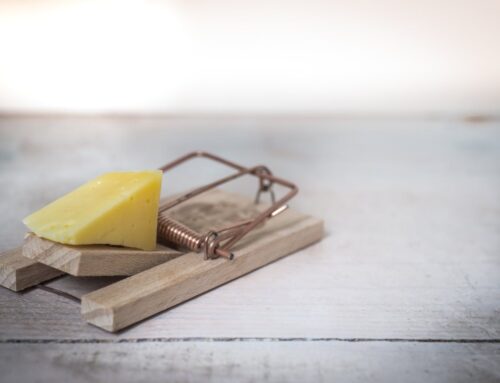 7 Coaching­fallen in Unter­nehmen: Busi­ness-Käse