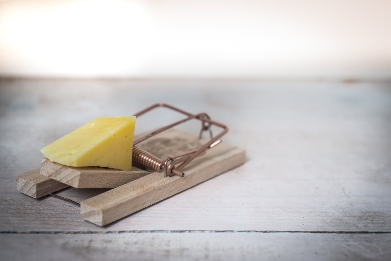 pexels-clickerhappy-633881 Coachingfallen in Unternehmen: Der Business-Käse