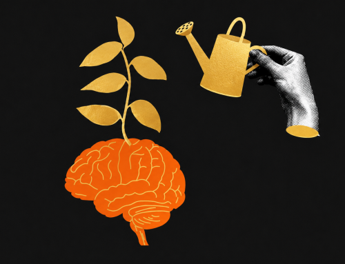 Ich-Entwick­lung und Neuro­bio­logie: Was das Gehirn zur Entwick­lung sagt