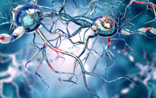 Neurobiologie der Veränderung